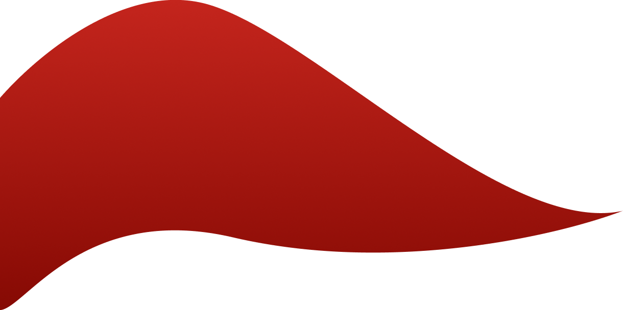 Company Profile
